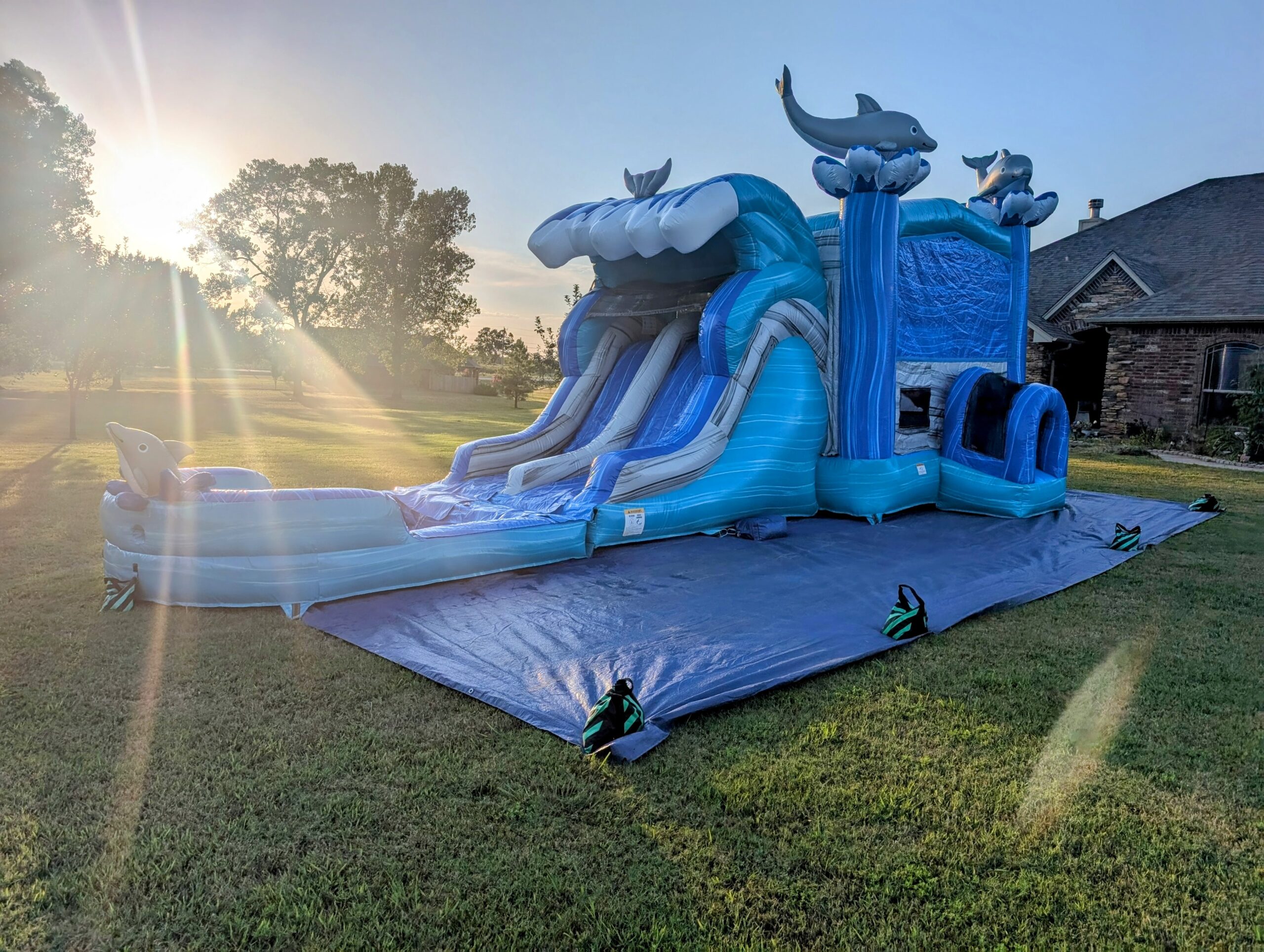 Blue Dolphin Water Slide Combo scaled Home